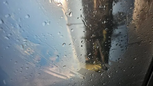 ffffff