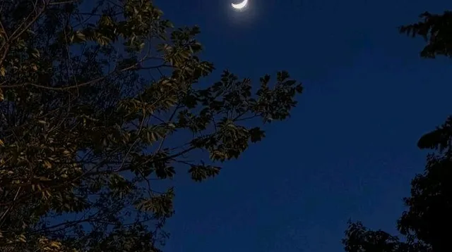 test 699