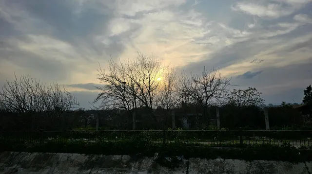 test55